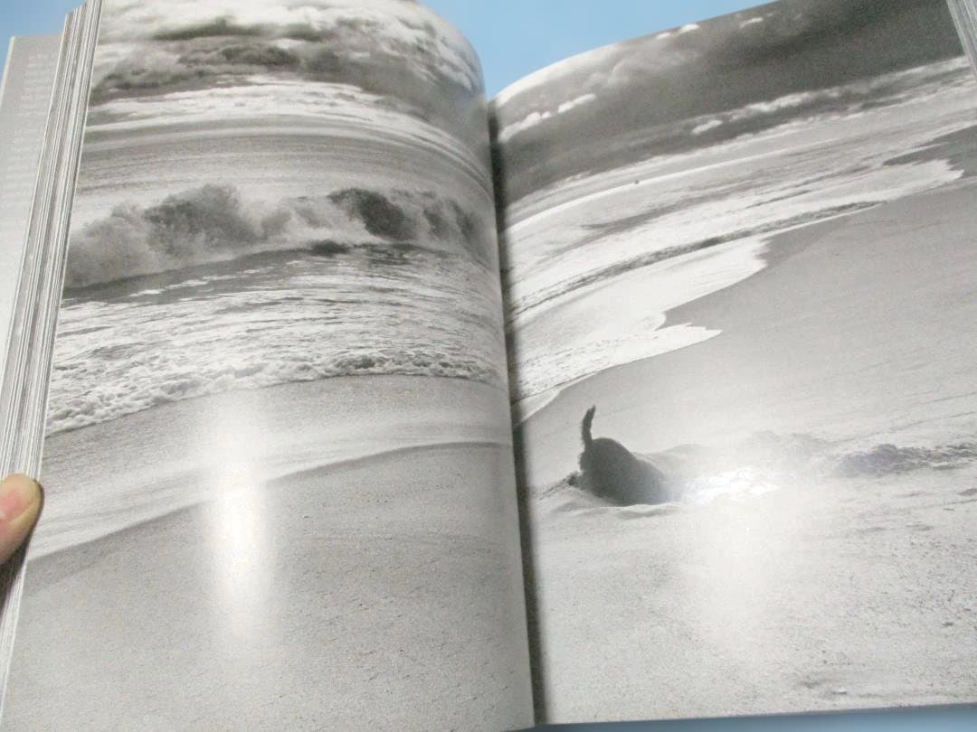 エリオット・アーウィット Elliott Erwitt