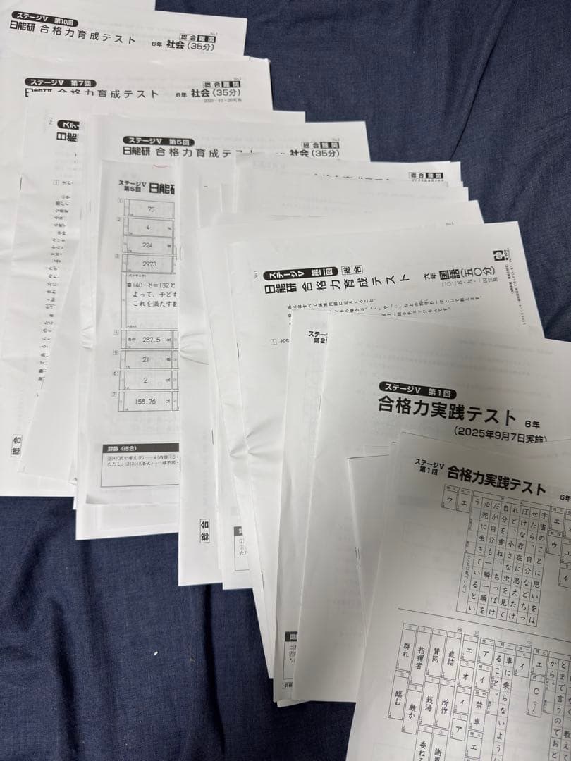 日能研 2025年度 6年生 学習力育成テスト 合格力育成テスト 合計29回分