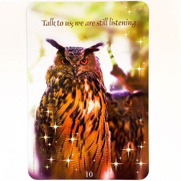 【正規品オラクルカード】希少カード✨天国にいる愛する人からの導きのメッセージ