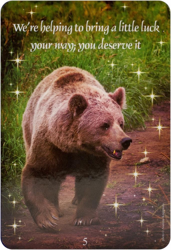 【正規品オラクルカード】希少カード✨天国にいる愛する人からの導きのメッセージ