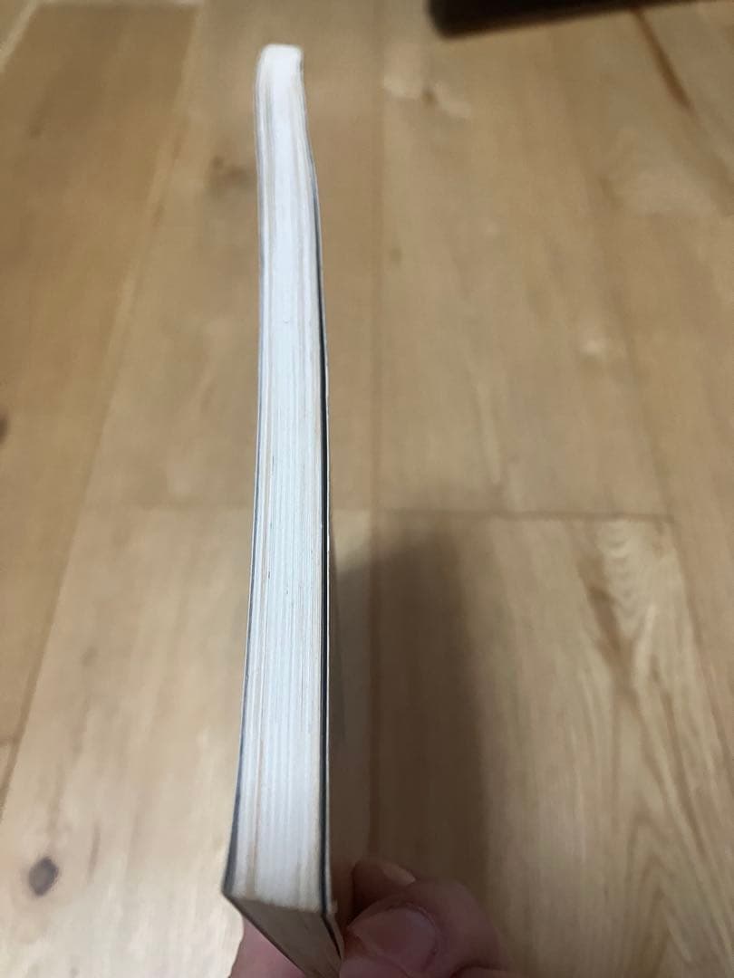 【希少】Scoobie Do BREAK ROCK バンドスコア スクービードゥ