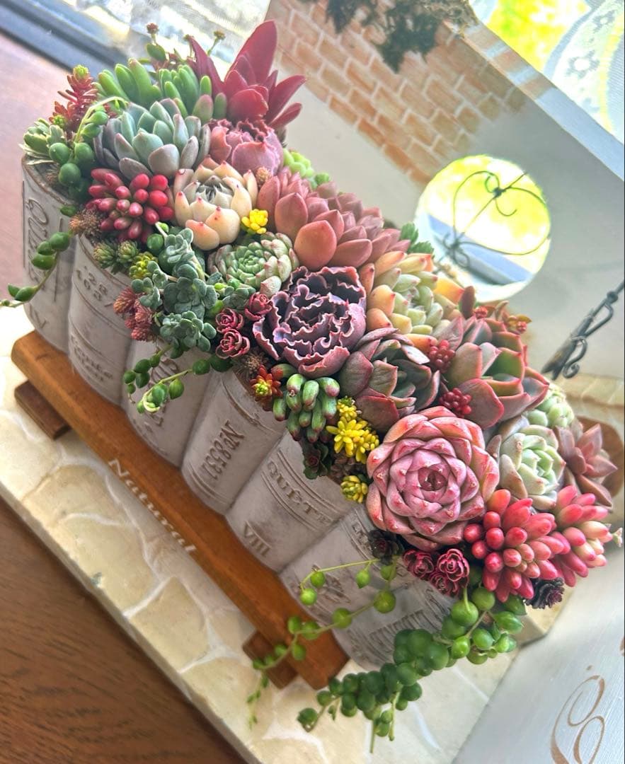 ・:*多肉植物そのまま飾れる・:*洋書ブックプランターアイボリー大きめ・:*