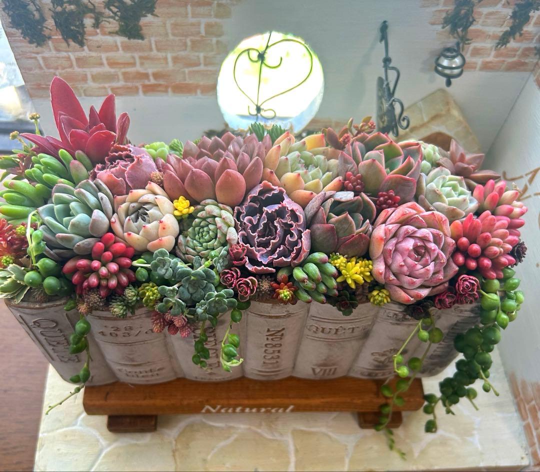 ・:*多肉植物そのまま飾れる・:*洋書ブックプランターアイボリー大きめ・:*