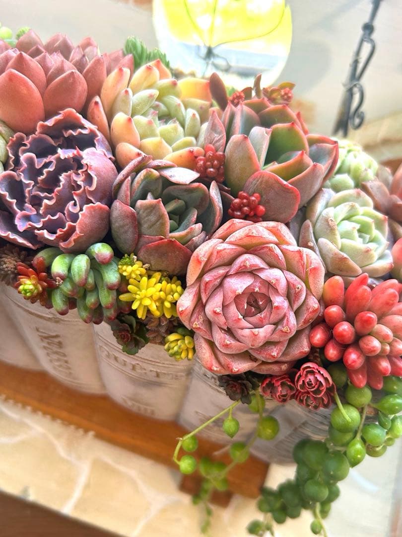 ・:*多肉植物そのまま飾れる・:*洋書ブックプランターアイボリー大きめ・:*