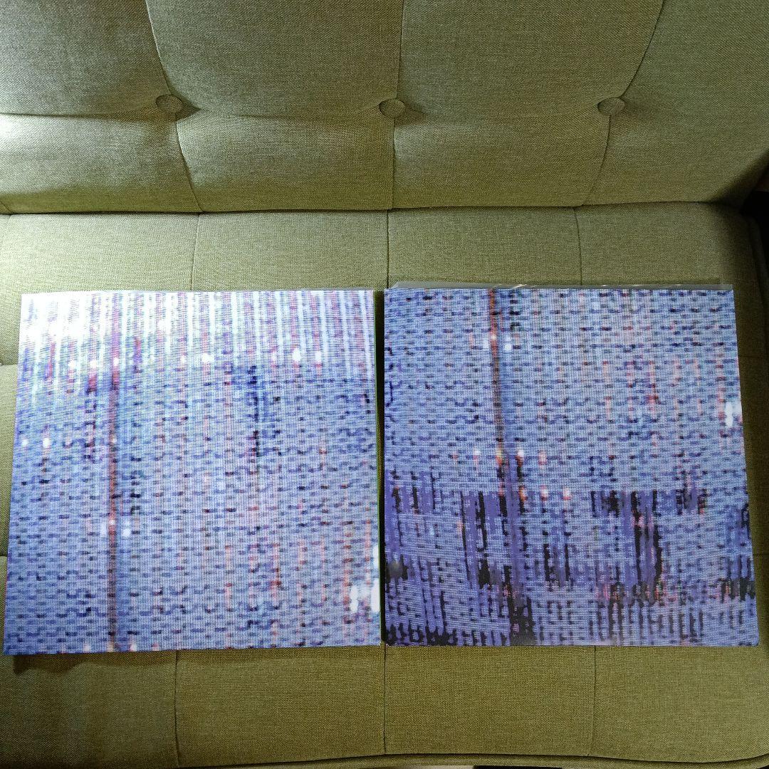 LP　A PLACE TO BURY STRANGERS