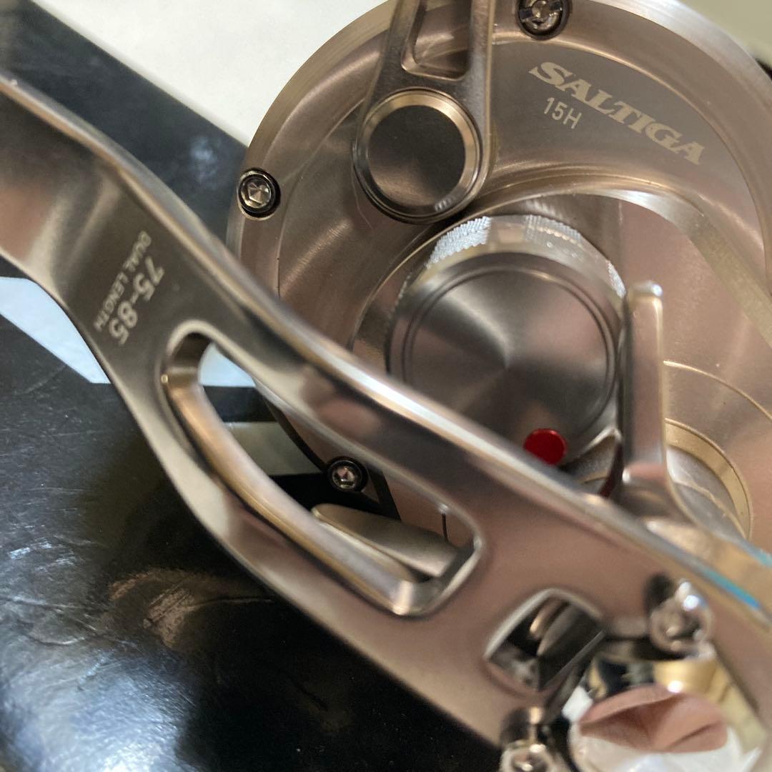 DAIWA SALTIGA 15H ベイトリール