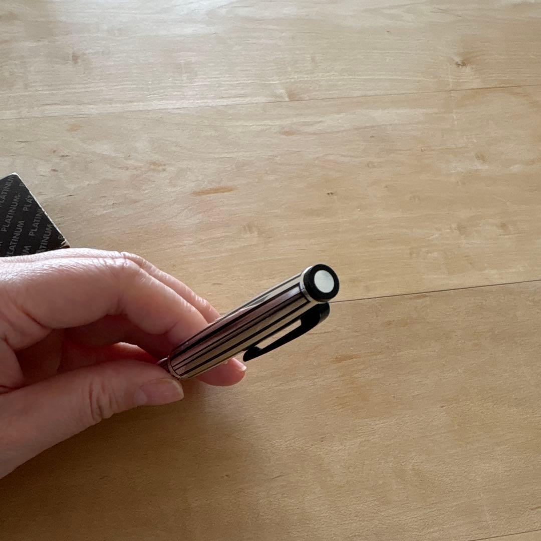 プラチナ万年筆　14KWG中字　廃番