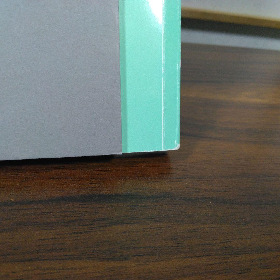 TOMOKAZU MATSUYAMA 松山智一　図録