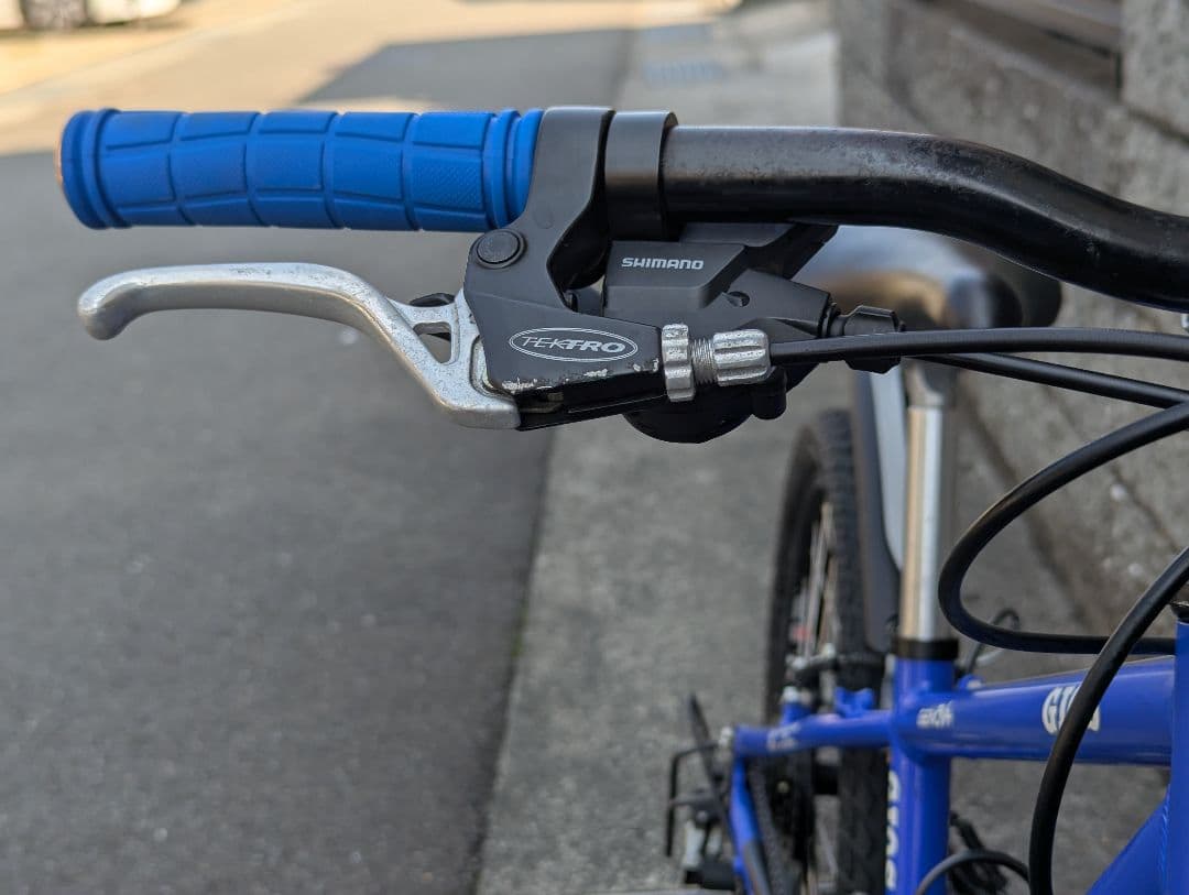 GIOS マウンテンバイク 青