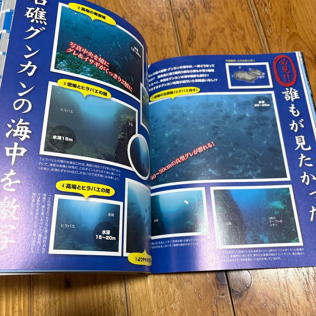 四国西南の磯釣り　鵜来島　沖の島　２冊