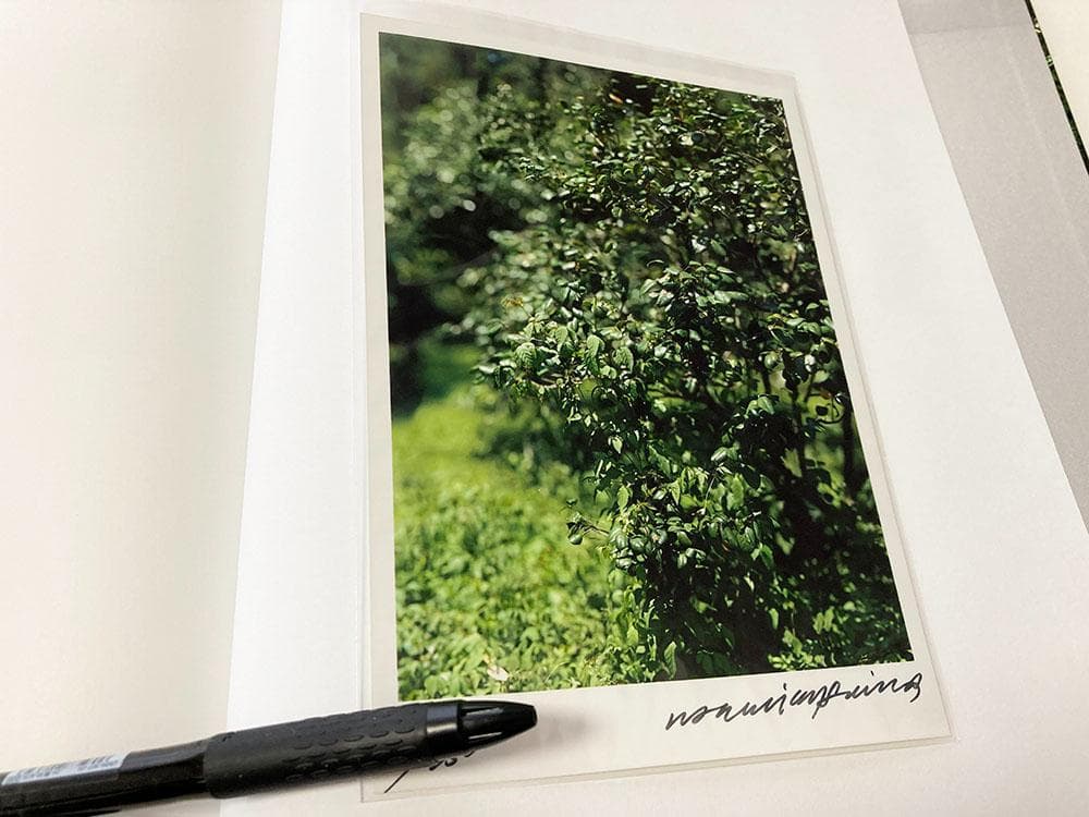 大島成己 / haptic green【プリント付】