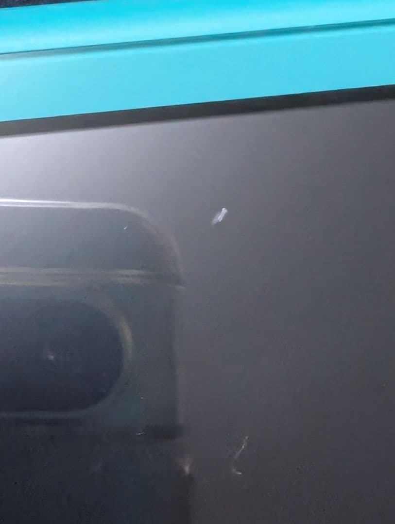 ターコイズ色Nintendo Switch Lite