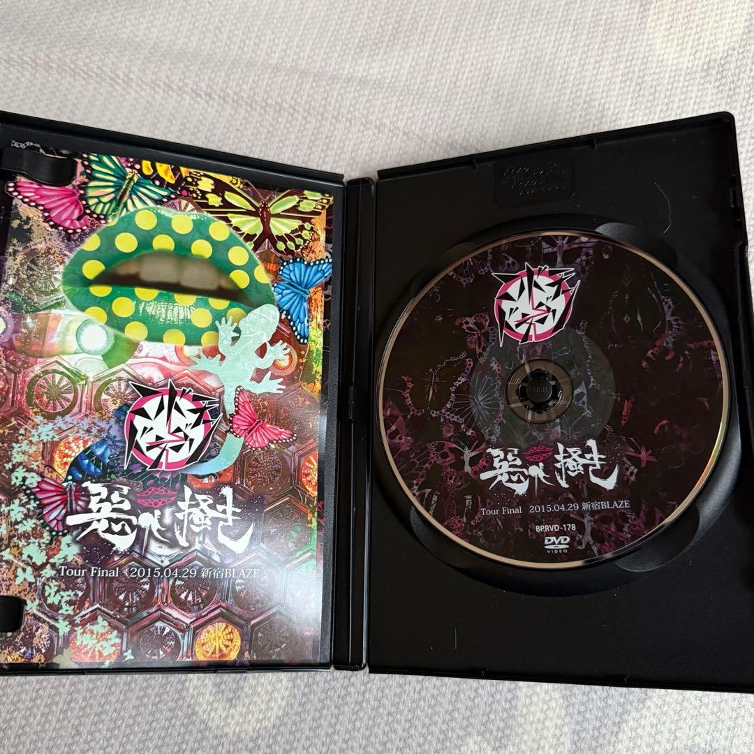 【未開封あり】コドモドラゴン LIVE DVD セット売り