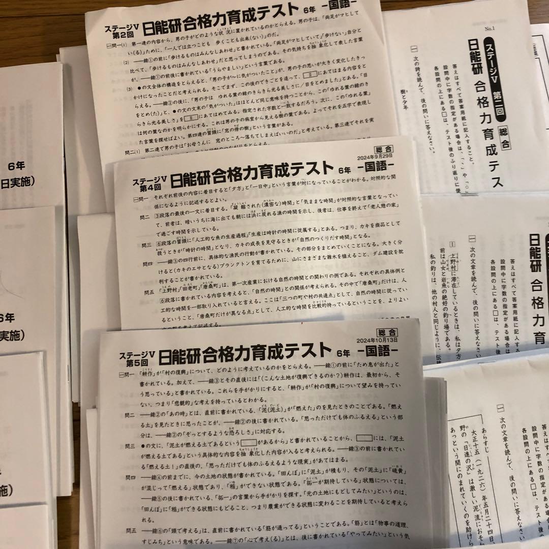 【2025年入試】日能研 公開模試 6年 前期後期フルセット　2024年4教科