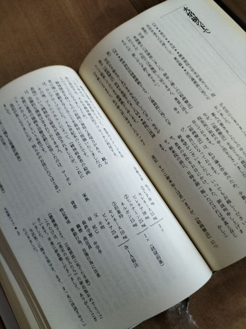 皆川博子作品精華 ミステリー編(迷宮) 千街晶之　選　『初版本』帯有り