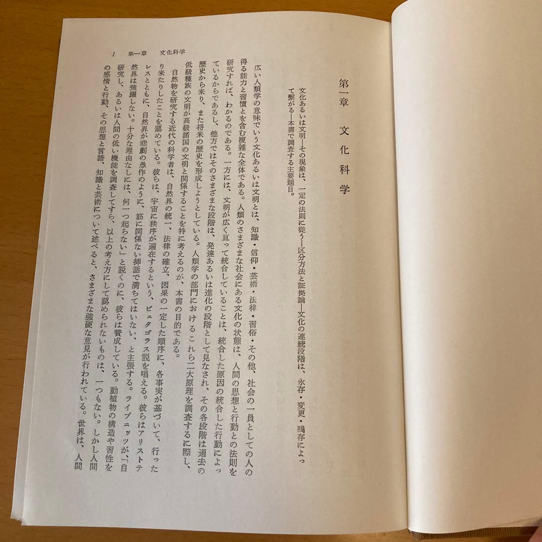「原始文化 ー神話・哲学・宗教・言語・芸能・風習に関する研究ー 」タイラー