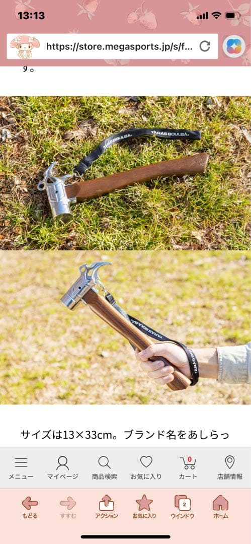 TARASBOULBAタラスブルバ　 ペグ11本とペグハンマーのセット