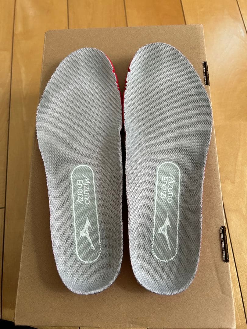 ミズノ バドミントンシューズ 23.5cm