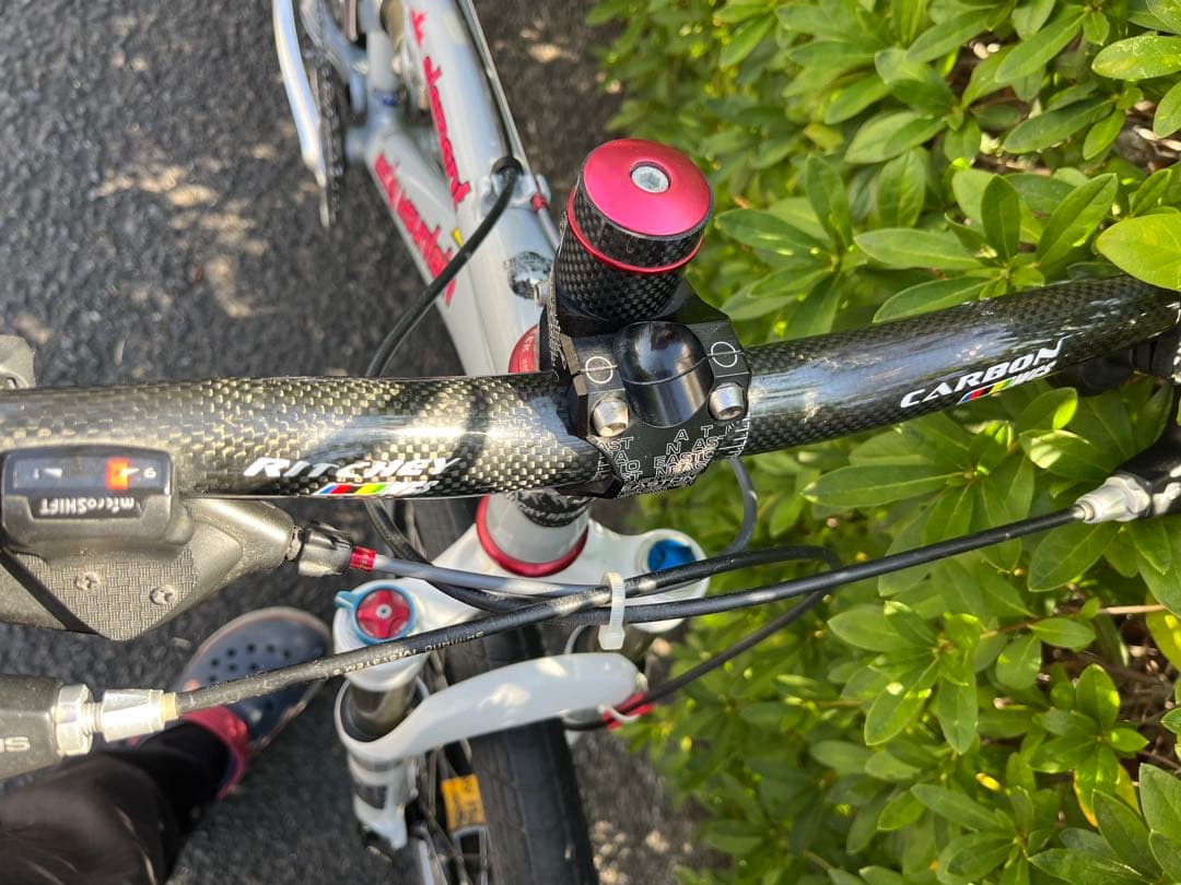 軽量Rocky Mountain Element マウンテンバイク　カーボン