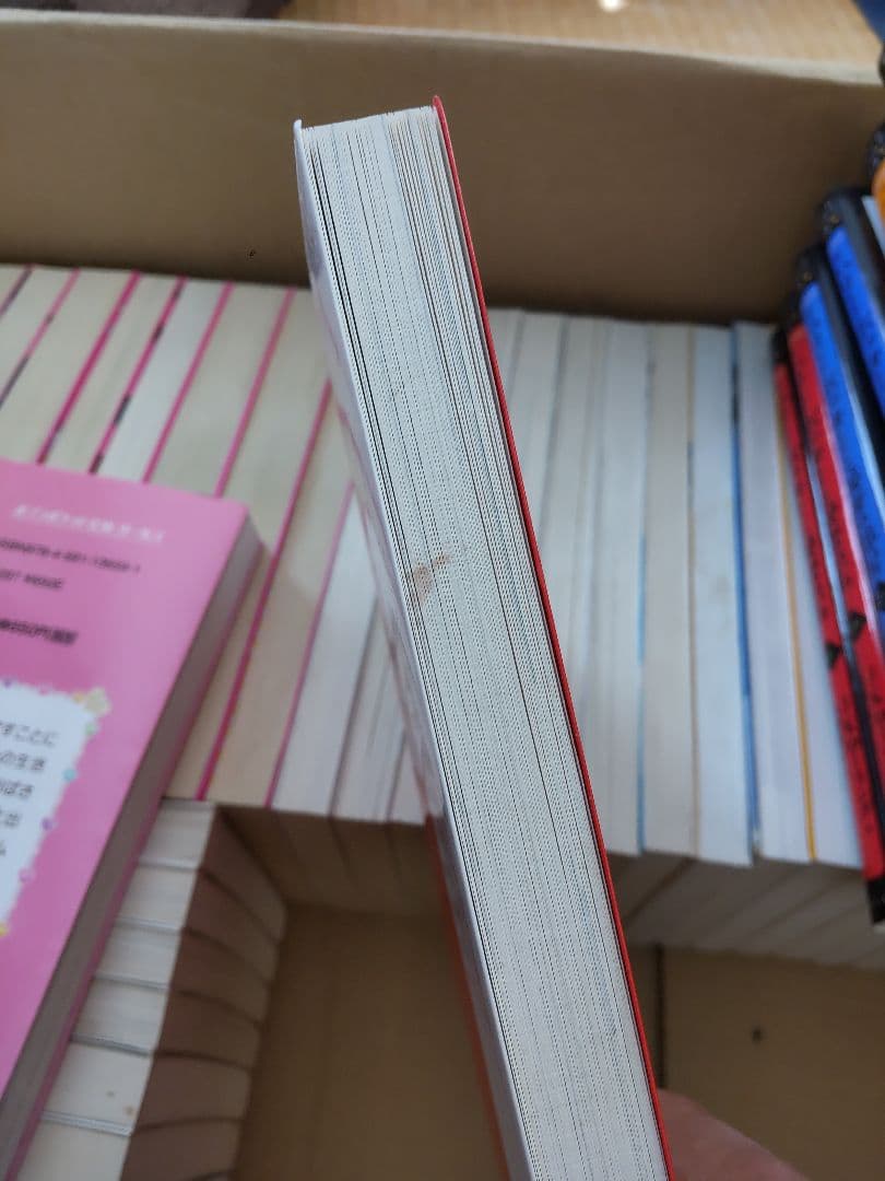 【児童書】《50冊まとめ売り》ハリーポッター、アナと雪の女王、戦国姫ほか