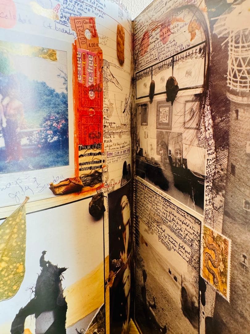 ピーター・ビアード（インブンデッ ネイマ・ビアードとデイヴィッドフェイヒー