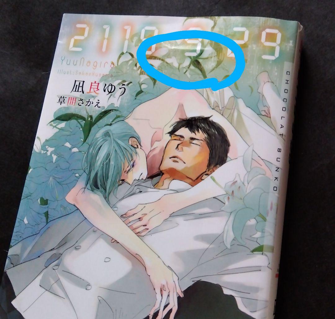 凪良ゆう8冊 花嫁はマリッジブルー 花嫁は今夜もブルー 全ての恋は病から