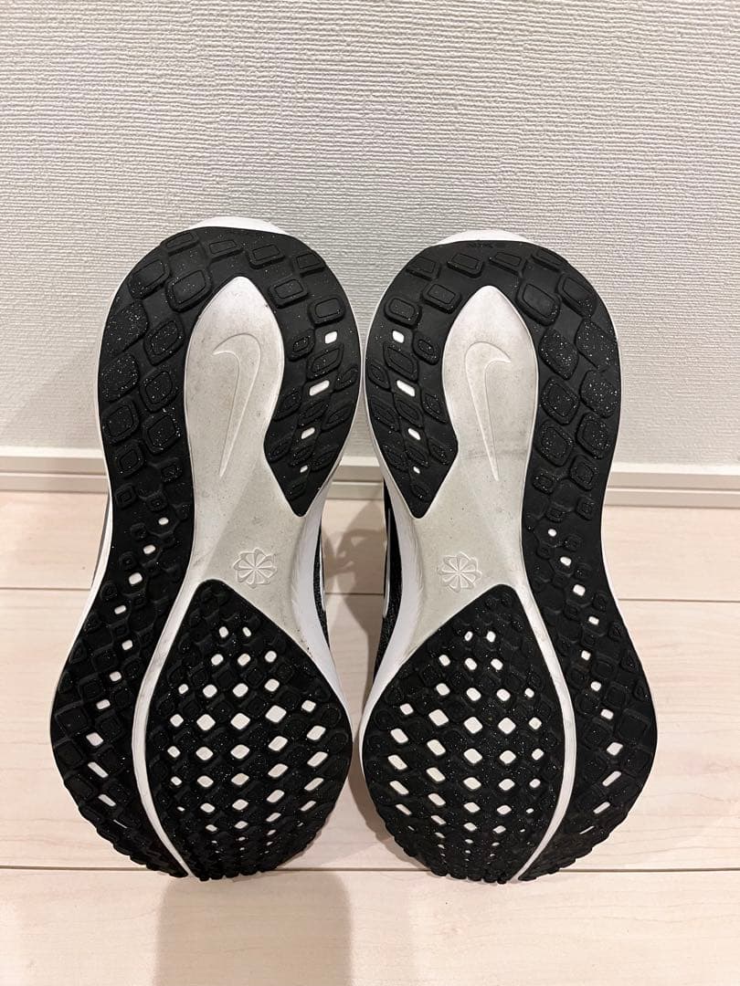 ナイキ ペガサス 41 (エクストラワイド)