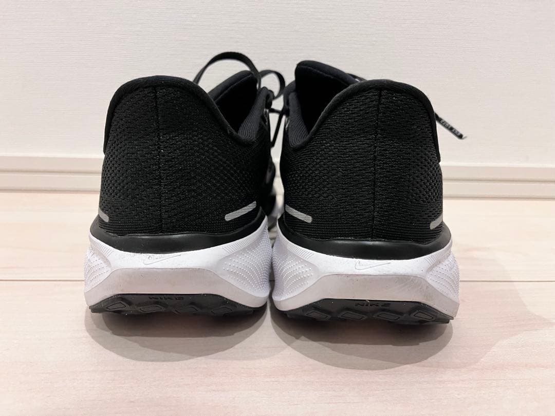 ナイキ ペガサス 41 (エクストラワイド)