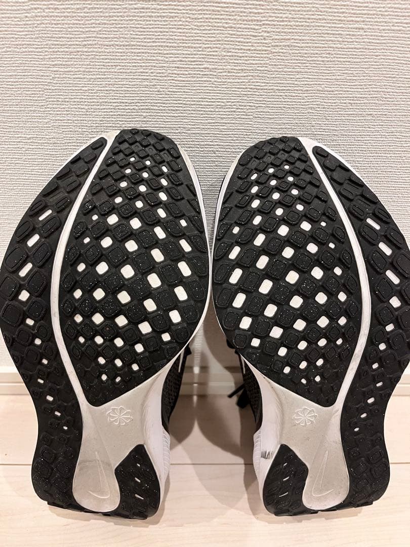 ナイキ ペガサス 41 (エクストラワイド)