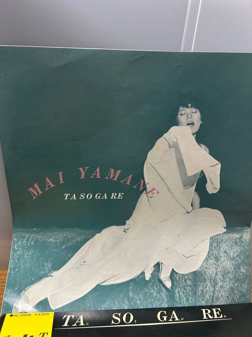 山根麻衣 / TA SO GA RE / 国内盤 LP レコード