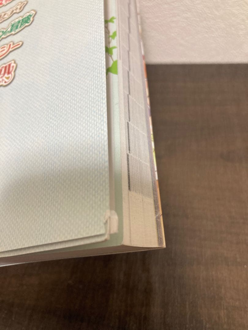 世界名作劇場シリーズ メモリアルブック ヨーロッパ編