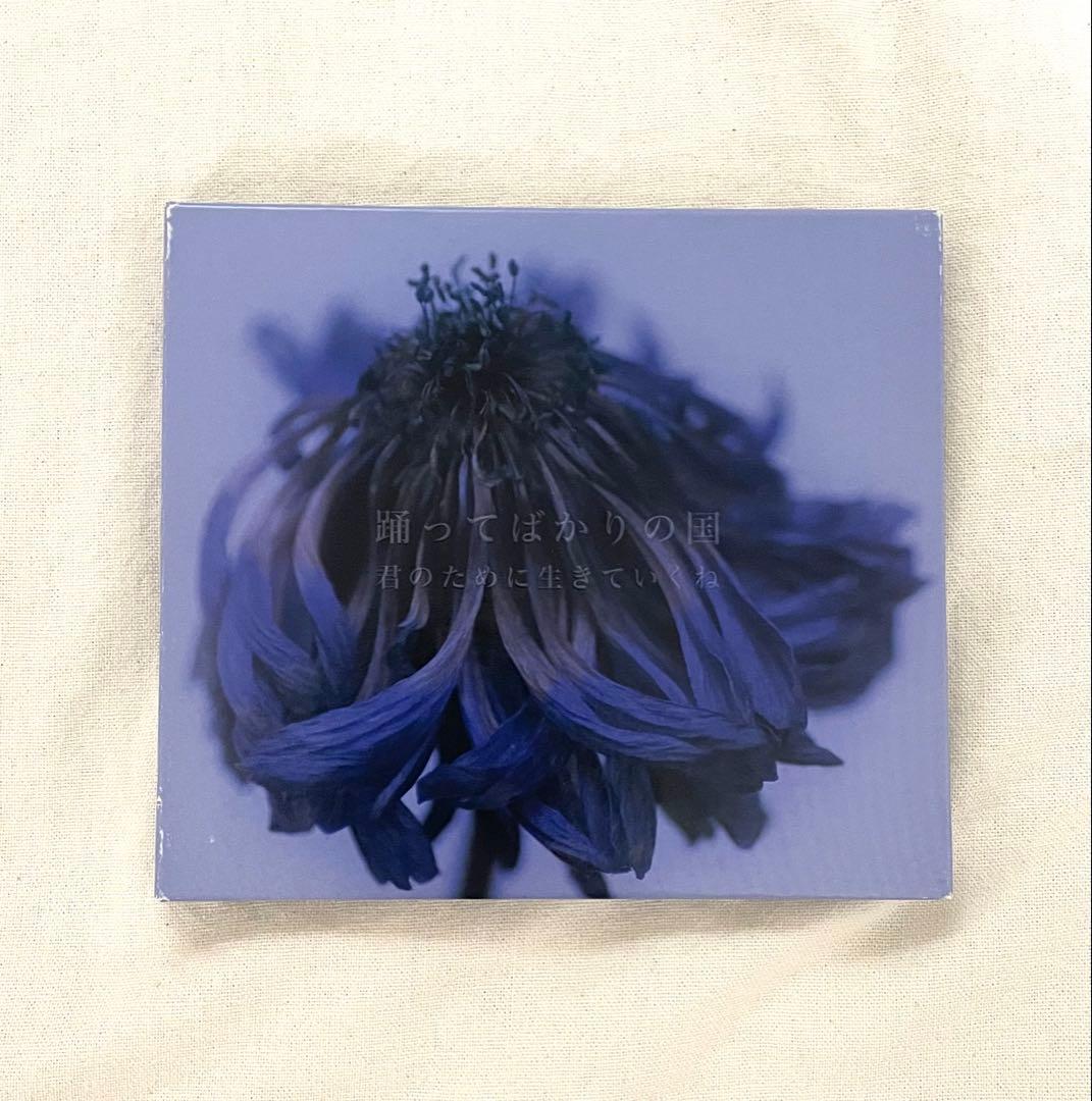 踊ってばかりの国　君のために生きてくね　下津光史