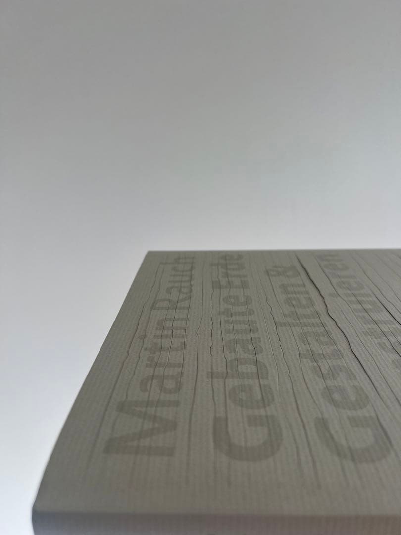 超希少 建築 Martin Rauch マルティンラオホ 作品集 ドイツ語