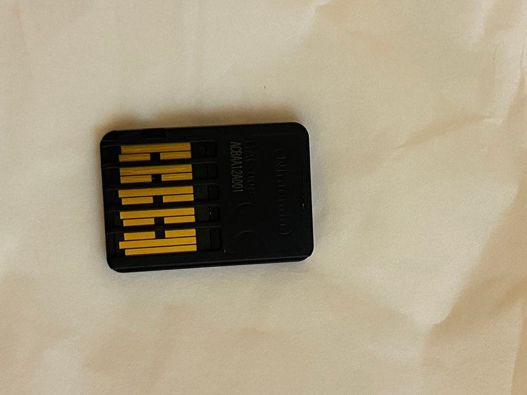 Nintendo Switch Lite コーラル あつまれ　動物の森