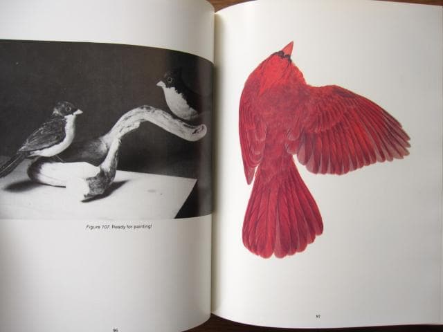 Songbird Carving II　Rosalyn Leach Daisey