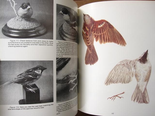 Songbird Carving II　Rosalyn Leach Daisey