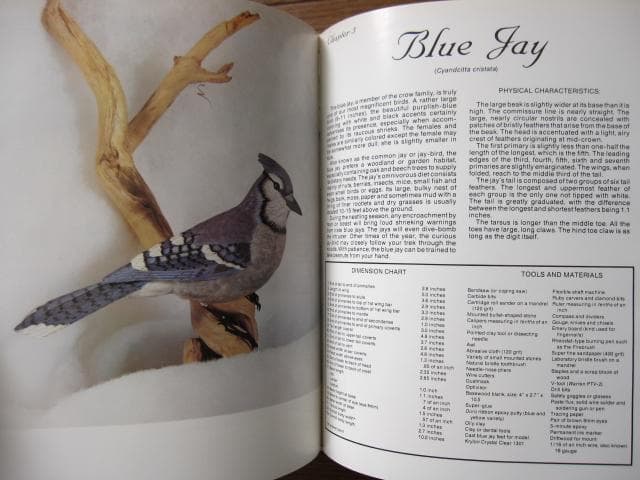 Songbird Carving II　Rosalyn Leach Daisey