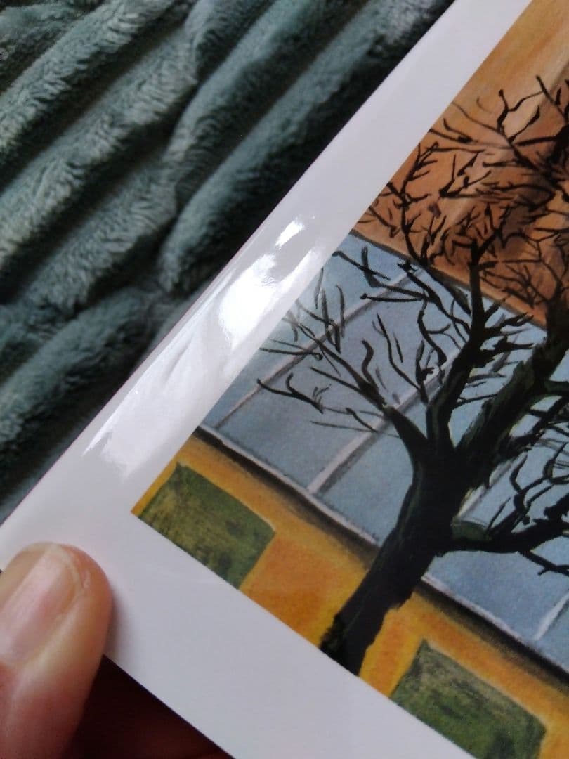 レイモン·ペイネ画集 3冊セット