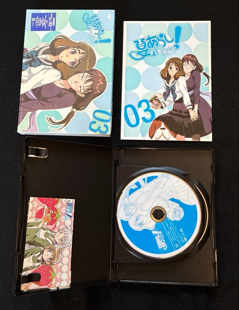 夏のあらし！、夏のあらし！春夏冬中　 セル版DVD 4巻➕4巻　完結