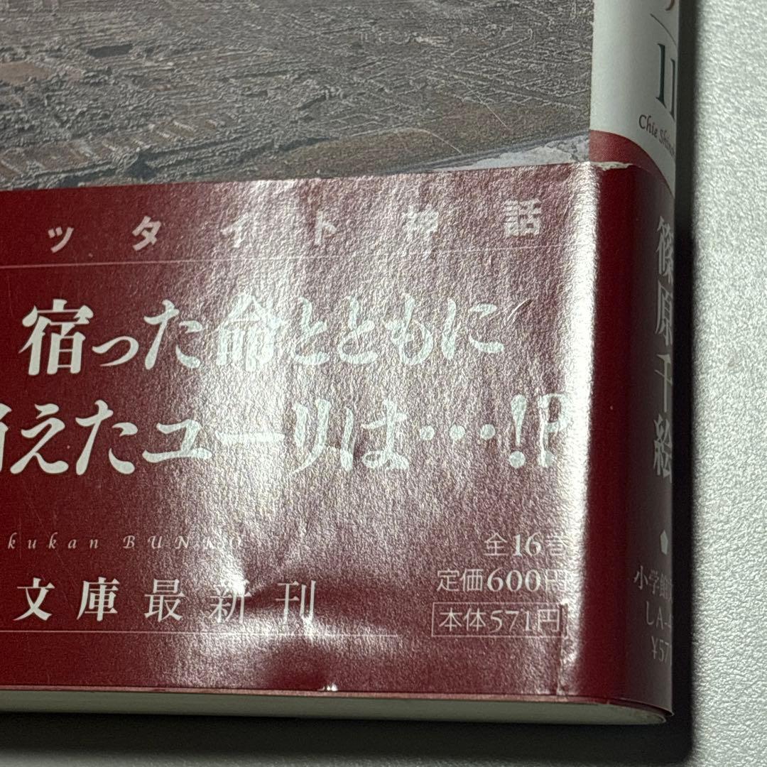 天は赤い河のほとり天は赤い川のほとり 小学館文庫版 全巻セット全16巻 篠原千絵