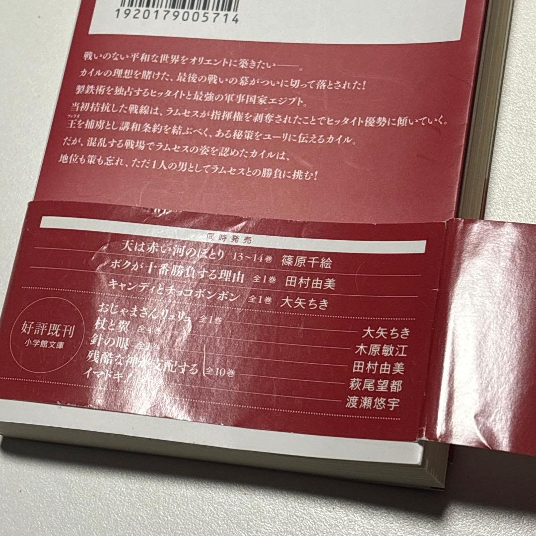 天は赤い河のほとり天は赤い川のほとり 小学館文庫版 全巻セット全16巻 篠原千絵
