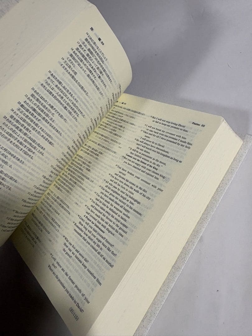 和英対照聖書　新共同訳 NITEV44DI