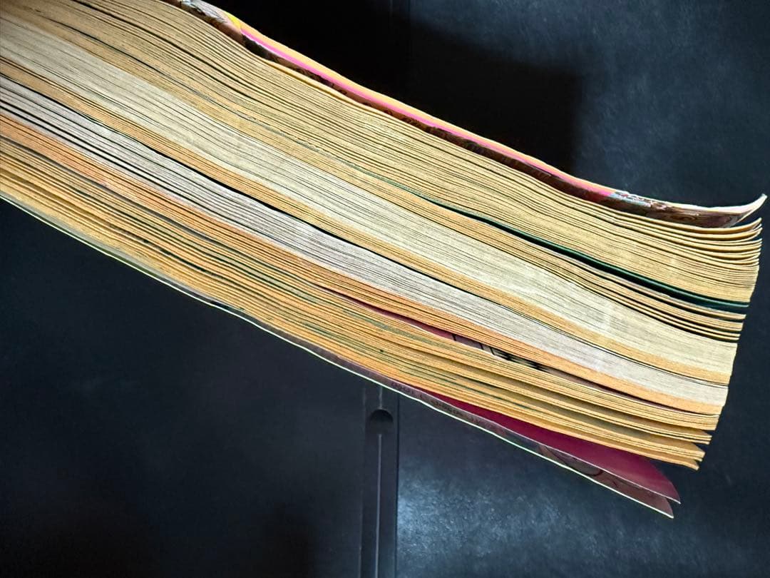 【激レア！】りぼん ティーンズ 新春増刊号 1998年1月25日 ご近所物語