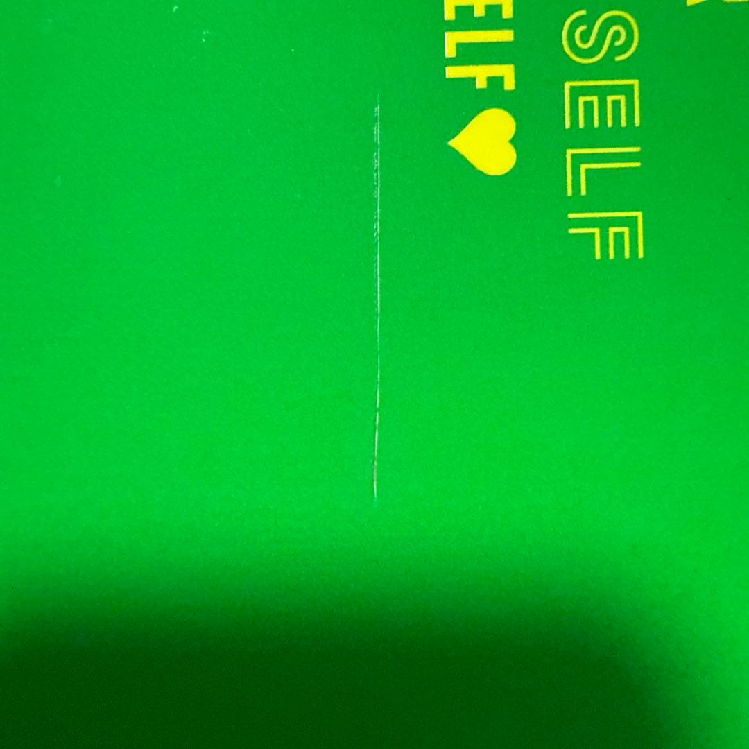 BTS LYS SYS SAO PAULO サンパウロ DVD ユンギ 公式