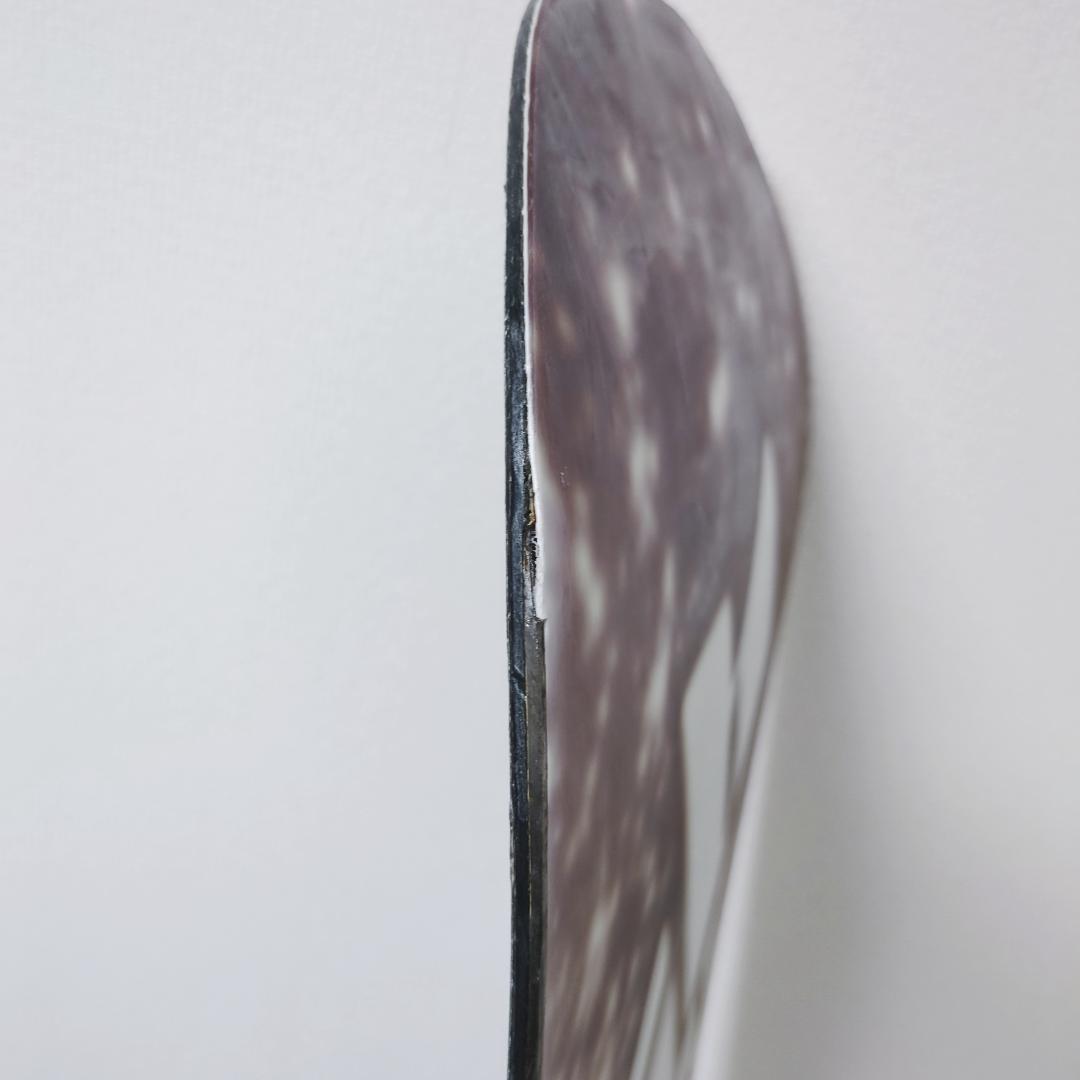 Lib Tech T.RICE Pro Horsepower 153cm スノボ