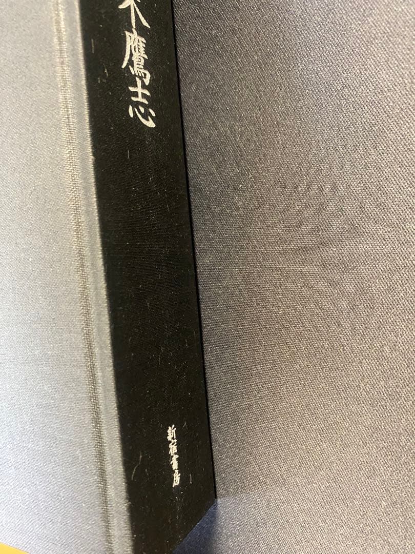 虚霊　立木鷹志 新宿書房