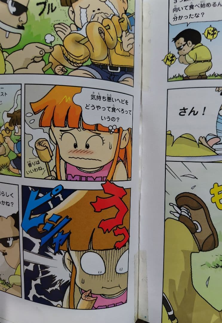 サバイバルシリーズ、タイムワープシリーズ37冊 まとめ売り(バラ売り可能)