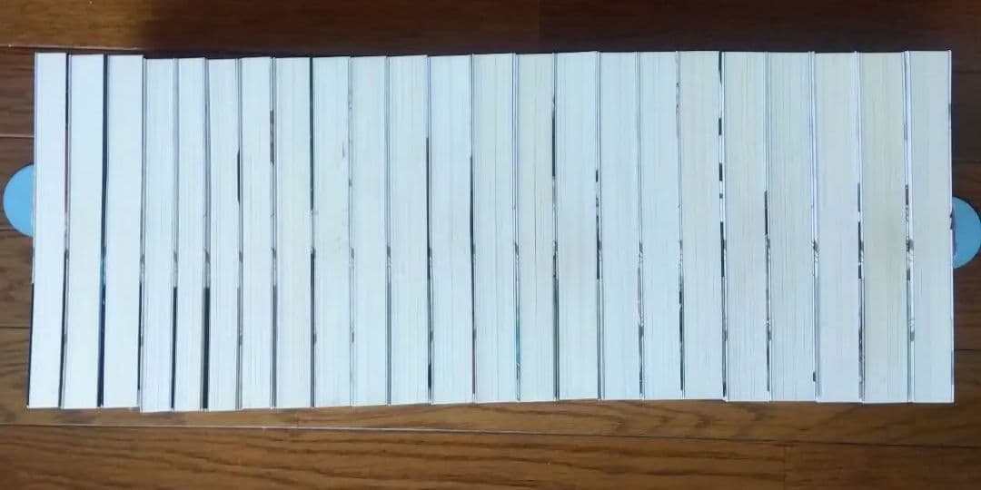 穏やか貴族の休暇のすすめ。 20巻+短編集3巻セット