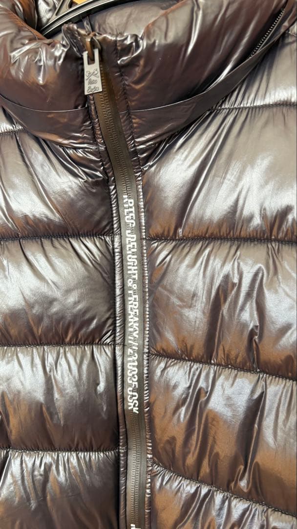 RTEGダウンベスト