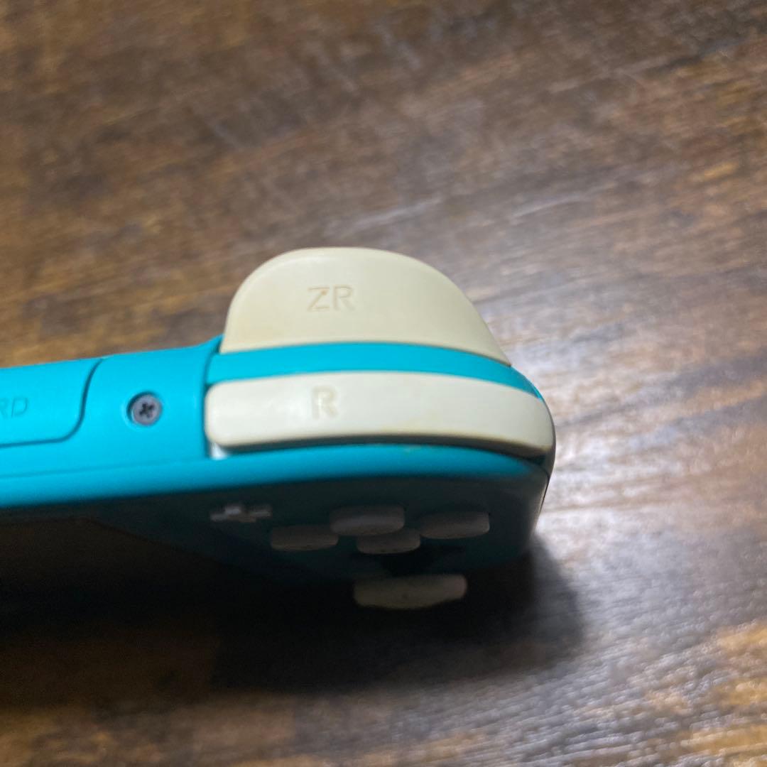 Switch light 本体　ターコイズ